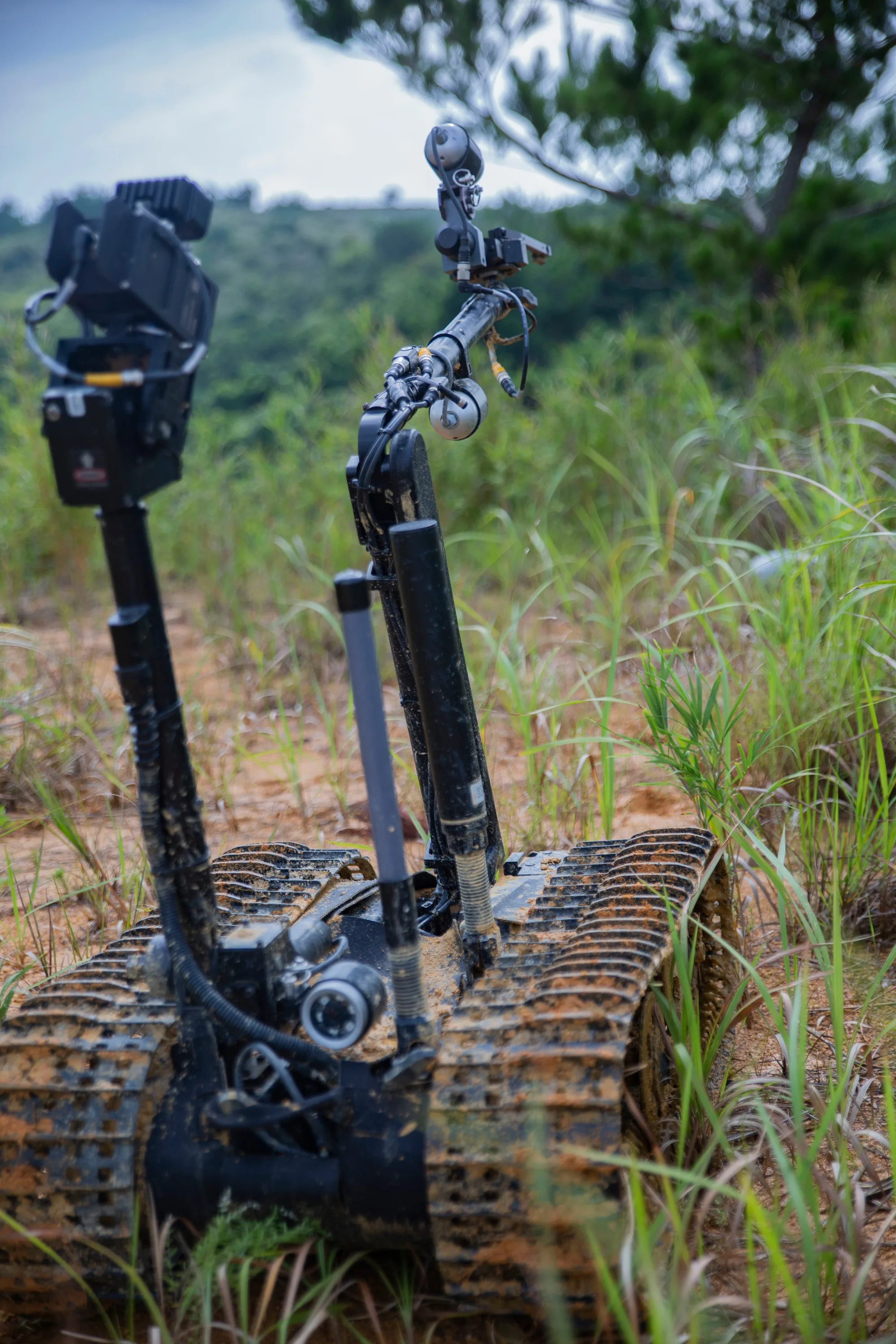 Tracked EOD robot on a grassy path with an extended articulated arm, gripper, and several camera housings.