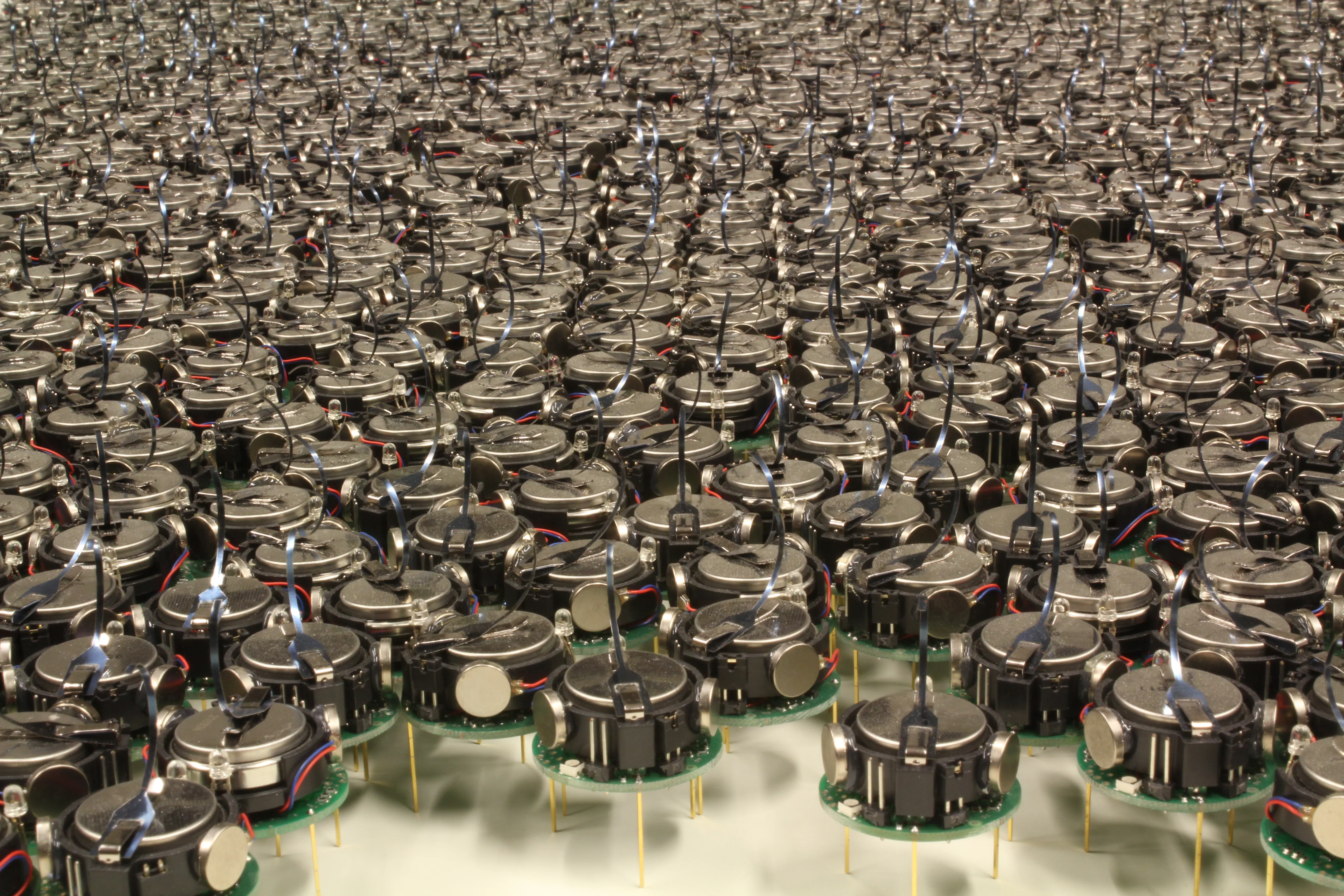 Rows of small Kilobot robots on a white surface, with round batteries, exposed circuit boards, and slender metal legs.
